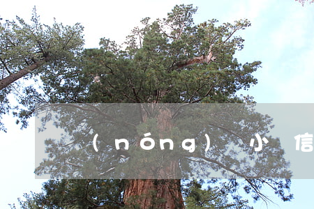 農(nóng)戶小額信用貸款逾期