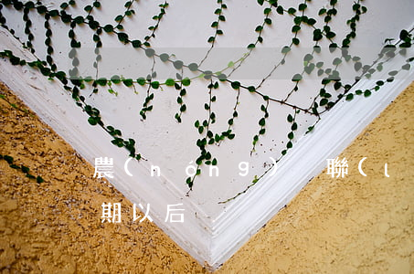 農(nóng)戶聯(lián)保貸款逾期以后