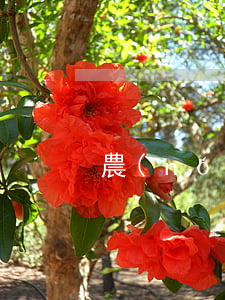 農(nóng)村一土地合同糾紛怎么辦