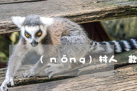 農(nóng)村人貸款無力償還