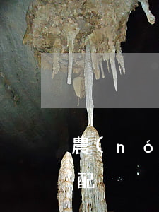 農(nóng)村住宅繼承一兒二女怎么分配