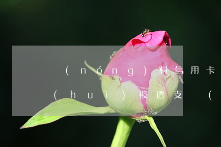農(nóng)村信用卡會(huì)不會(huì)被透支(農(nóng)村信用社的借記卡可以透支嗎)
