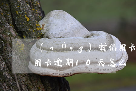 農(nóng)村信用卡逾期10天(銀行信用卡逾期10天怎么辦)