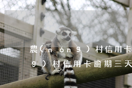 農(nóng)村信用卡逾期三(農(nóng)村信用卡逾期三天)
