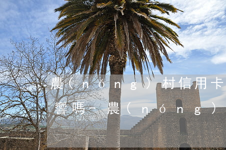 農(nóng)村信用卡逾期還款一天有影響嗎-農(nóng)村信用卡逾期還款一天有影響嗎知乎