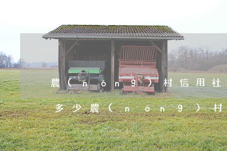 農(nóng)村信用社信用卡普卡年費是多少（農(nóng)村信用卡普卡利息）