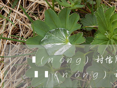 農(nóng)村信用社信用卡逾期了怎么辦(農(nóng)村信用社信用卡逾期了怎么辦理分期)