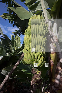 農(nóng)村信用社利息逾期多久影響征信-農(nóng)村信用社利息逾期多久影響征信記錄