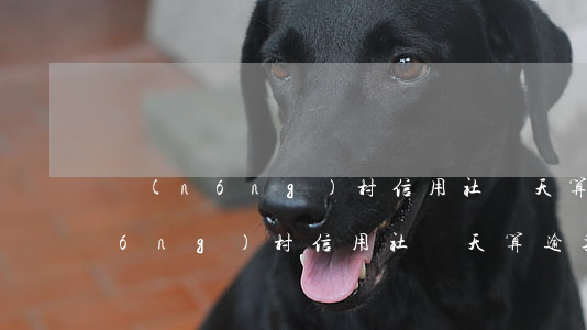 農(nóng)村信用社幾天算逾期(農(nóng)村信用社幾天算逾期利息)