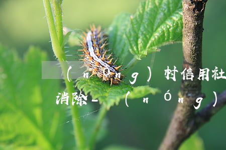 農(nóng)村信用社征信逾期一天多久消除-農(nóng)村信用社征信逾期一天多久消除記錄