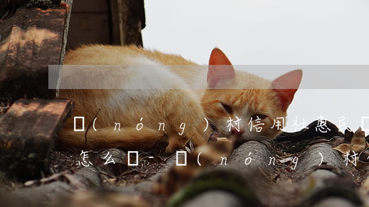 農(nóng)村信用社惠民貸逾期了1天怎么辦-農(nóng)村信用社惠民貸逾期了1天怎么辦理