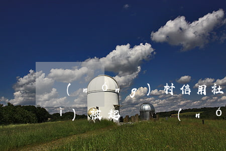 農(nóng)村信用社房貸逾期會(huì)被起訴嗎(農(nóng)村信用社房貸逾期會(huì)被起訴嗎)