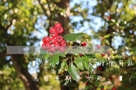 農(nóng)村信用社按季結(jié)息可逾期多少天-農(nóng)村信用社季度結(jié)息