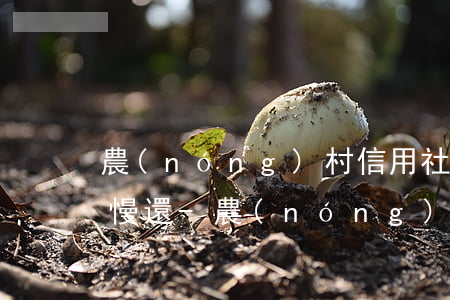 農(nóng)村信用社欠4萬逾期了想慢慢還-農(nóng)村信用社欠4萬逾期了想慢慢還怎么辦