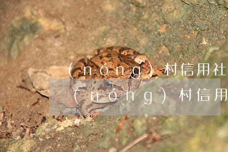 農(nóng)村信用社股金怎么分開繼承(農(nóng)村信用社股金轉(zhuǎn)讓流程)