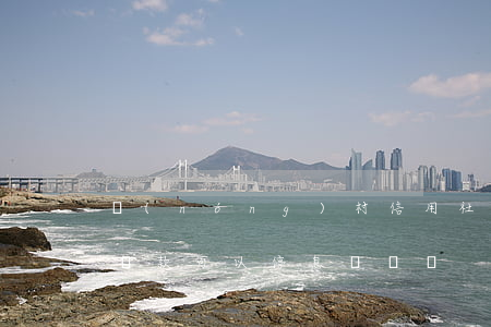 農(nóng)村信用社貸款停息掛賬(信用貸款可以停息掛賬嗎)
