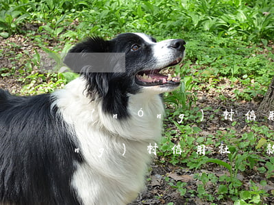 農(nóng)村信用社貸款利息(農(nóng)村信用社貸款利息一萬一年多少)