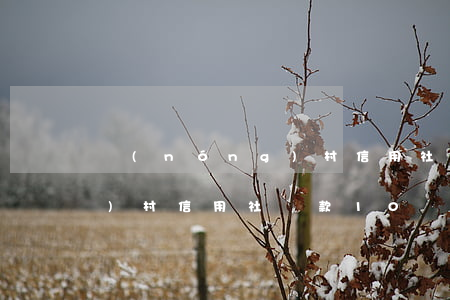 農(nóng)村信用社貸款(農(nóng)村信用社貸款10萬一年利息多少)
