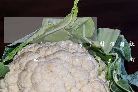 農(nóng)村信用社貸款逾期10年怎么辦(農(nóng)村信用社貸款逾期10年怎么辦)