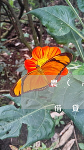 農(nóng)村信用社貸款逾期三天還能借貸嗎-農(nóng)村信用社貸款逾期三天還能借貸嗎