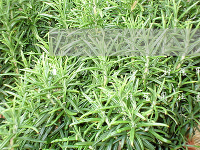農(nóng)村信用社貸款逾期了（農(nóng)村信用社逾期多少時間起訴我）