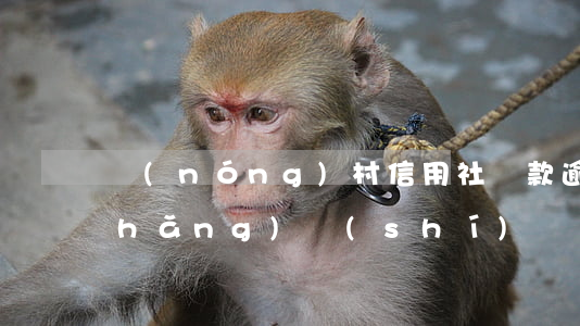農(nóng)村信用社貸款逾期多長(zhǎng)時(shí)間會(huì)被起訴-欠款多少會(huì)被起訴坐牢