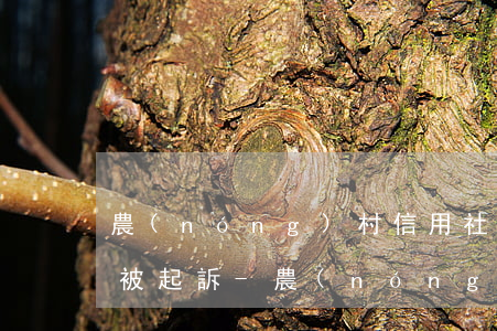 農(nóng)村信用社貸款逾期幾個月會被起訴-農(nóng)村信用社貸款逾期幾個月會被起訴嗎