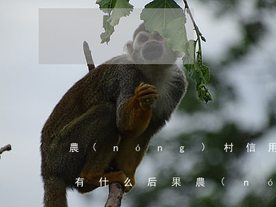 農(nóng)村信用社貸款逾期被起訴會有什么后果（農(nóng)村信用社貸款逾期被起訴）