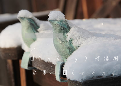 農(nóng)村信用社貸款還不上有什么后果-農(nóng)村信用社貸款還不上有什么后果嘛