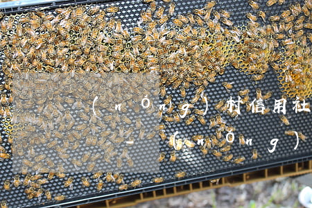 農(nóng)村信用社逾期三天還可以再辦嗎-農(nóng)村信用社逾期三天還可以再辦嗎