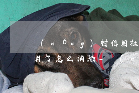 農(nóng)村信用社逾期兩個(gè)月了怎么消除-農(nóng)村信用社逾期兩個(gè)月了怎么消除記錄