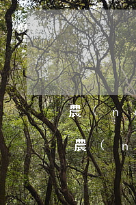 農(nóng)村信用社逾期多久就被起訴 農(nóng)村合作信用社貸款利息逾期多久會被起訴