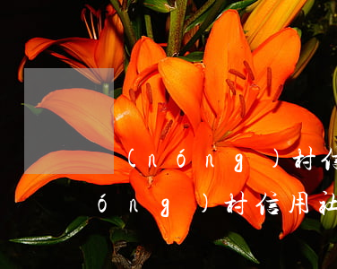 農(nóng)村信用社還利息逾期(農(nóng)村信用社還利息逾期一天會(huì)不會(huì)影響再次貸款)