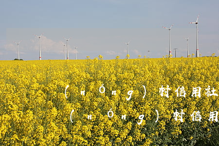 農(nóng)村信用社隨心花逾期2個月(農(nóng)村信用社隨心花逾期2個月)