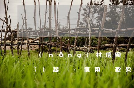 農(nóng)村信用貸逾期多久會(huì)起訴-信用貸款欠多久會(huì)起訴