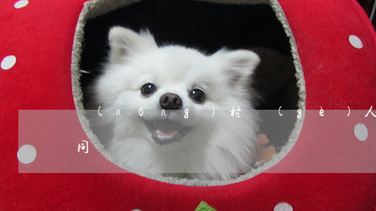 農(nóng)村個(gè)人土地出租合同
