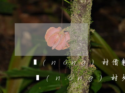 農(nóng)村借款逾期不給起訴有用嗎(農(nóng)村欠條到期不給錢能上訴嗎?)