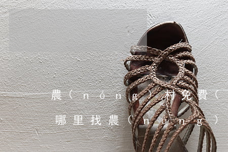 農(nóng)村免費(fèi)的律師從哪里找(農(nóng)村請(qǐng)律師大概多少錢)