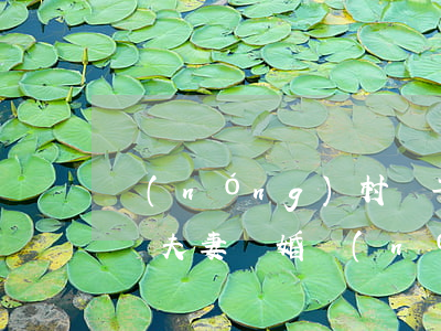 農(nóng)村兒子離婚后能與父母分戶嗎(夫妻離婚農(nóng)村房子怎么分,戶口是父母的)