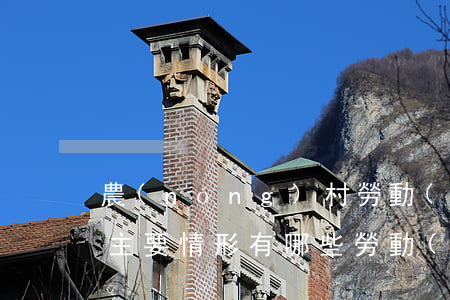 農(nóng)村勞動(dòng)糾紛的主要情形有哪些(勞動(dòng)糾紛類(lèi)型)