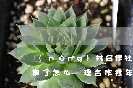 農(nóng)村合作社年報(bào)逾期了怎么處理(合作社年報(bào)怎么報(bào)填寫不了咋回事)