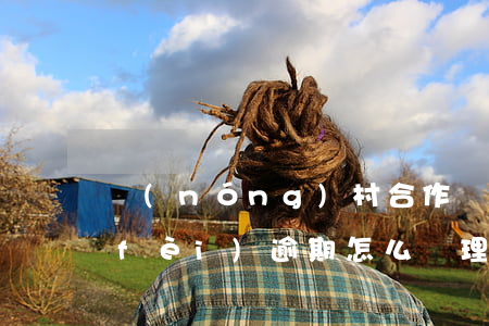 農(nóng)村合作醫(yī)療繳費(fèi)逾期怎么辦理