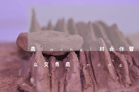 農(nóng)村合作醫(yī)療逾期怎么交費(農(nóng)村合作醫(yī)療逾期怎么交費用)