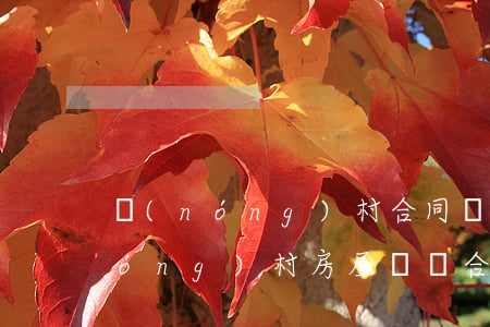 農(nóng)村合同糾紛如何定性(農(nóng)村房屋買賣合同糾紛判決案例)