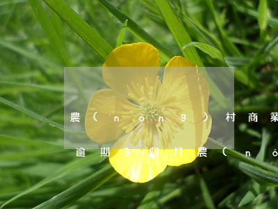 農(nóng)村商業(yè)銀行信用卡逾期3個月(農(nóng)村信用社信用卡逾期一周)