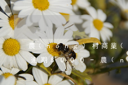 農(nóng)村商業(yè)銀行信用卡逾期8000-農(nóng)村商業(yè)銀行信用卡逾期8000怎么辦