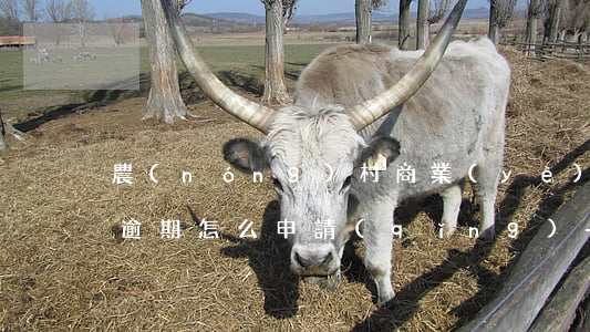 農(nóng)村商業(yè)銀行信用卡逾期怎么申請(qǐng)-農(nóng)村商業(yè)銀行信用卡逾期怎么申請(qǐng)分期還款