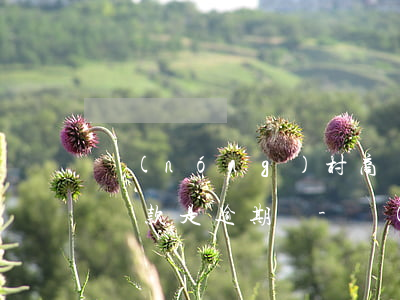 農(nóng)村商業(yè)銀行晚一天還款是逾期嗎-農(nóng)村商業(yè)銀行晚一天還款是逾期嗎怎么辦