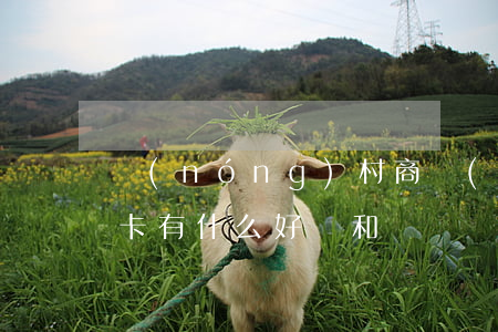 農(nóng)村商業(yè)銀行的信用卡有什么好處和壞處（農(nóng)村商行信用卡利息）