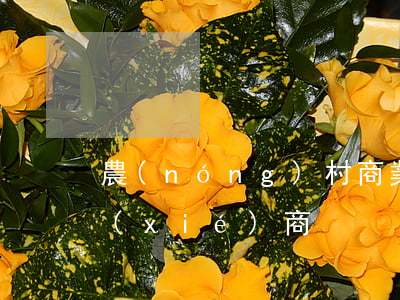 農(nóng)村商業(yè)銀行逾期協(xié)商